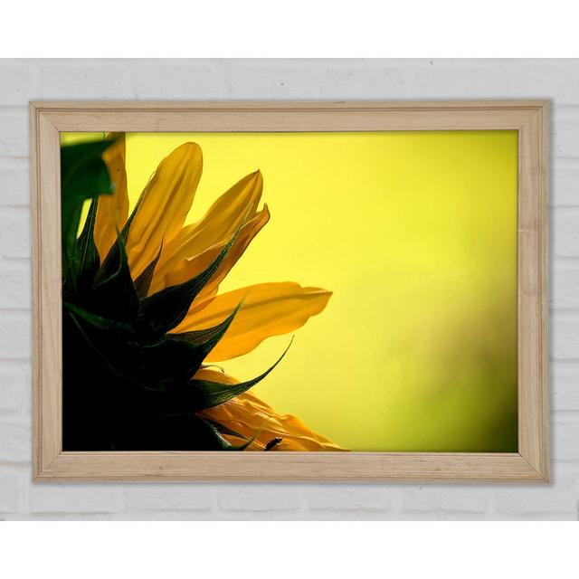 Sunflowers Macro - Print Brayden Studio Size: 84.1cm H x 118.9cm W on Productcaster.