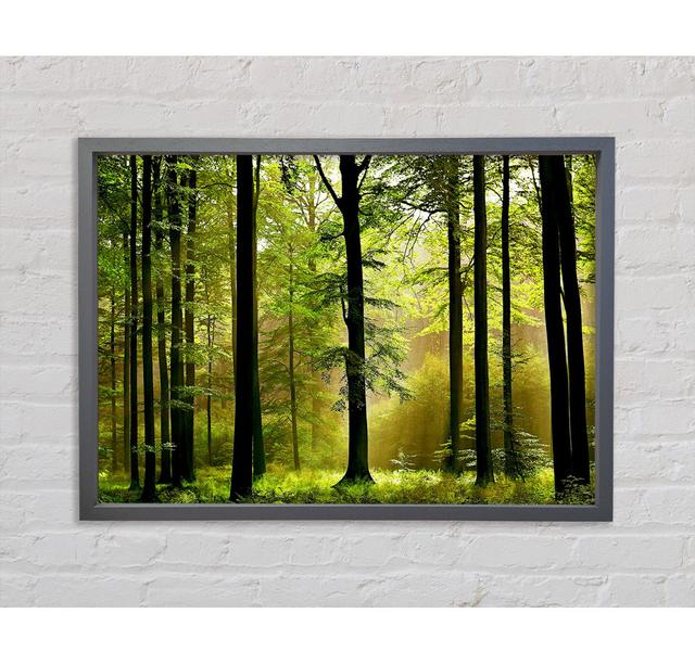 Green Forest Mist - Single Picture Frame Art Prints on Canvas Union Rustic Size: 59.7cm H x 84.1cm W 3.3cm D on Productcaster.