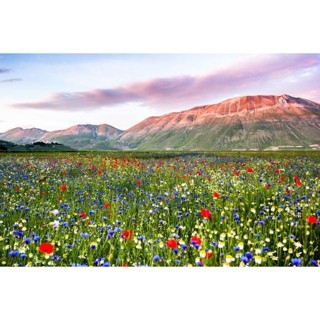 Castelluccio Di Norcia by Francesco Ricca Iacomino - Wrapped Canvas Print Marlow Home Co. Size: 20cm H x 30cm W x 3.8cm D on Productcaster.