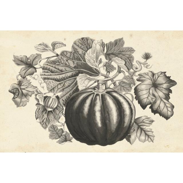 Sepia Squash I by Naomi McCavitt - Wrapped Canvas Art Prints The Seasonal Aisle Size: 20cm H x 30cm W on Productcaster.