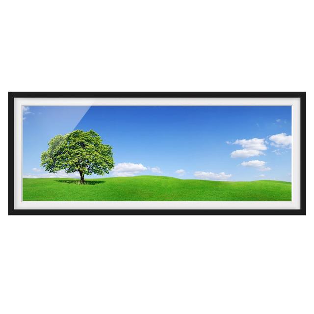 Panoramic - Picture Frame Graphic Art ClassicLiving Size: 30cm H x 75cm W x 2cm D, Frame Option: Black Framed on Productcaster.