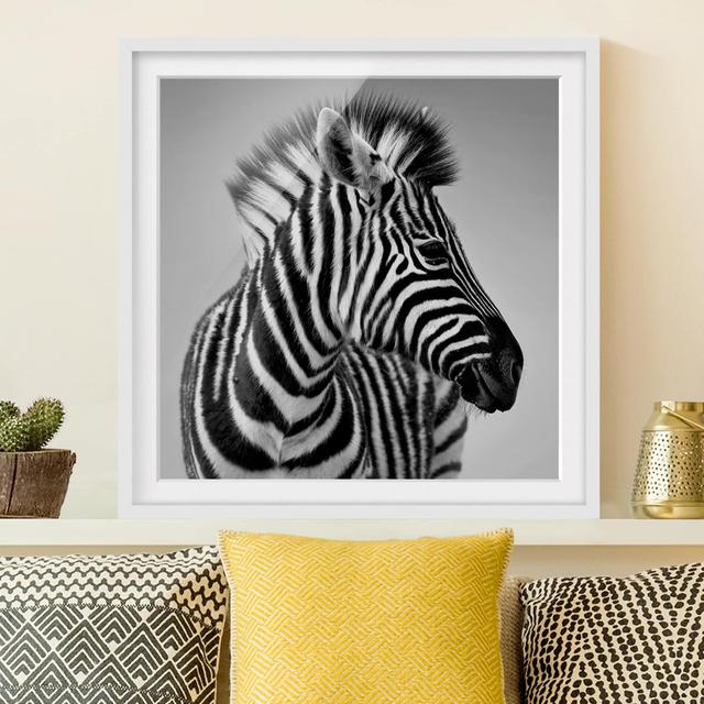 'Baby Zebra Portrait II' - Picture Frame Photograph Print on Paper East Urban Home Frame Option: Matt white, Size: 50cm H x 50cm W x 2cm D on Productcaster.