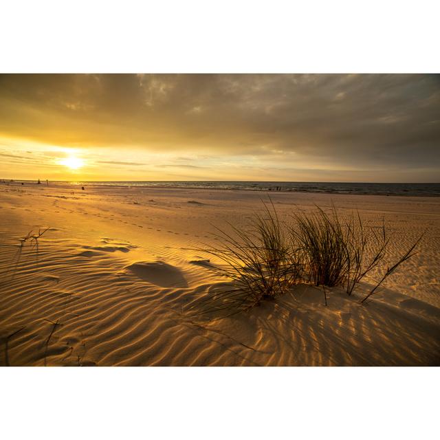 Sand Dunes On Beach 635885380 House of Hampton Size: 61cm H x 91cm W x 3.8cm D on Productcaster.