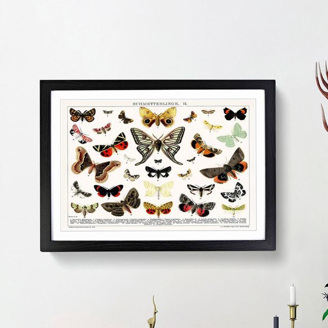 Butterflies & Moths - Picture Frame Graphic Art Print East Urban Home Frame Option: Black Framed, Size: 27cm H x 36cm W x 2cm D on Productcaster.