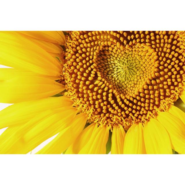 Sunflowers Heart by ValentynVolkov - Wrapped Canvas Print August Grove Size: 12"H x 18"W on Productcaster.