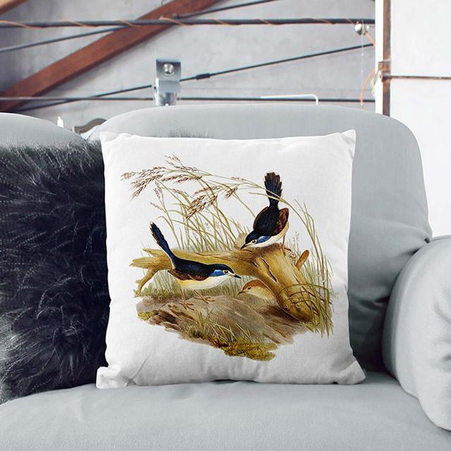 Fawn-Breasted Superb Warblers by Elizabeth Gould Cushion with Filling East Urban Home Size: 55cm H x 55cm W x 20cm D, Backing Colour: White on Productcaster.