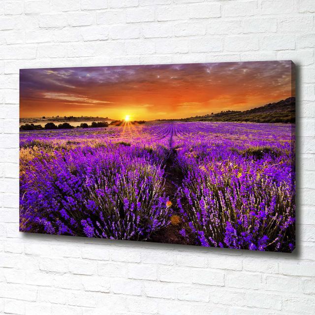 Lavender Field - Wrapped Canvas Art Prints Brayden Studio on Productcaster.