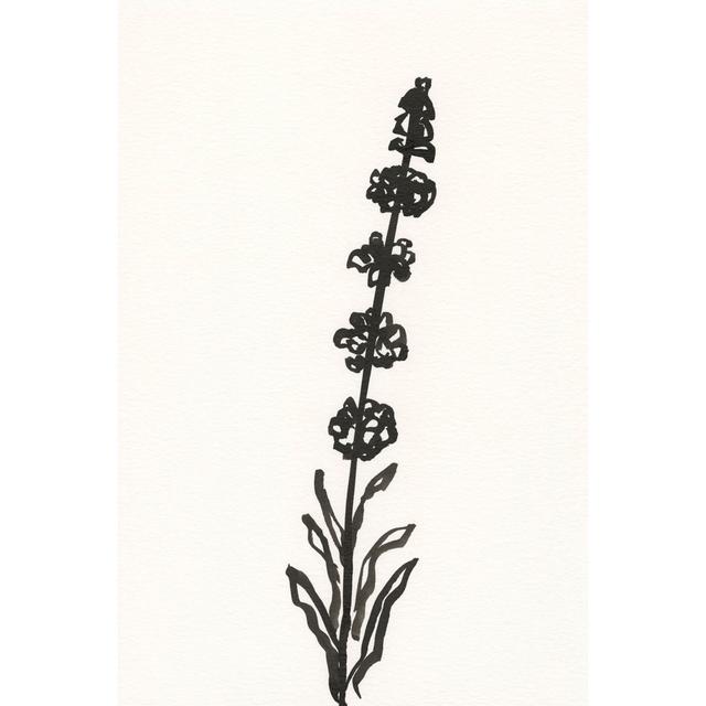 Ink Botanical Sketch VII by J. Holland - Wrapped Canvas Painting Rosalind Wheeler Size: 30cm H x 20cm W x 3.8cm D on Productcaster.