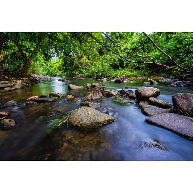 Small Stream by Domonite - Wrapped Canvas Print Union Rustic Size: 81cm H x 122cm W x 3.8cm D on Productcaster.