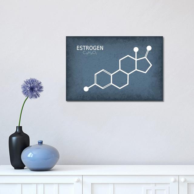 Estrogen Molecule - Wrapped Canvas Graphic Art Happy Larry Size: 30.48cm H x 45.72cm W x 1.905cm D on Productcaster.