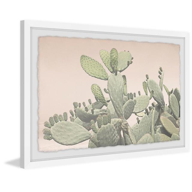 Cactus Bunch - Picture Frame Photograph Print on Paper East Urban Home Size: 20 cm H x 30 cm W x 4 cm D on Productcaster.