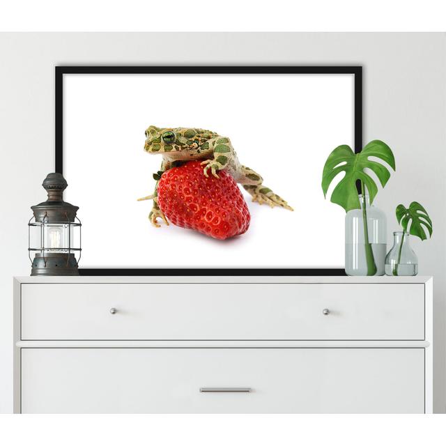 Gerahmtes Foto "Small Frog Sitting on a Strawberry" Brambly Cottage Größe: 38 cm H x 30 cm B x 2.5 cm T on Productcaster.