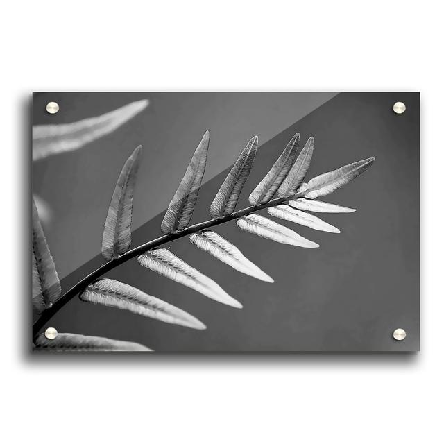 Grey Leaves Flowers Canvas Print Wall Art East Urban Home Format: Acrylic, Size: 42cm H x 59.4cm W x 1cm D on Productcaster.