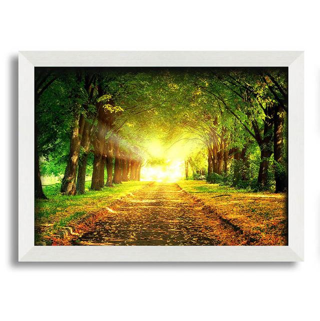 Autumn Path - Single Picture Frame Art Prints Latitude Run Size: 29.7cm H x 42cm W on Productcaster.