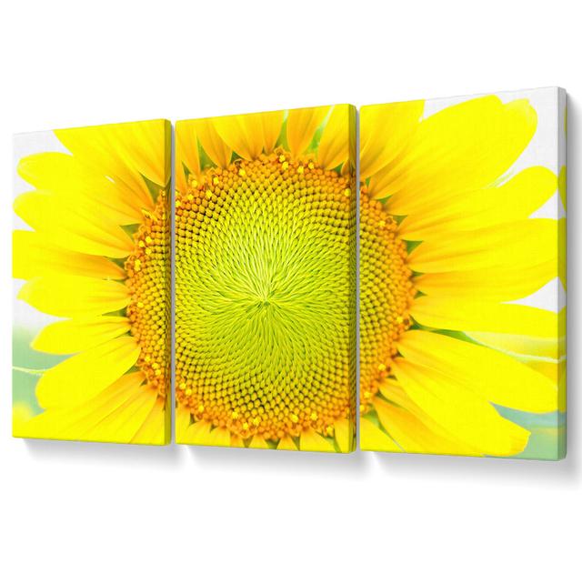 Dear Summer - 3 Piece Wrapped Canvas Graphic Art Set August Grove Size: 121.9cm H x 243.8cm W on Productcaster.