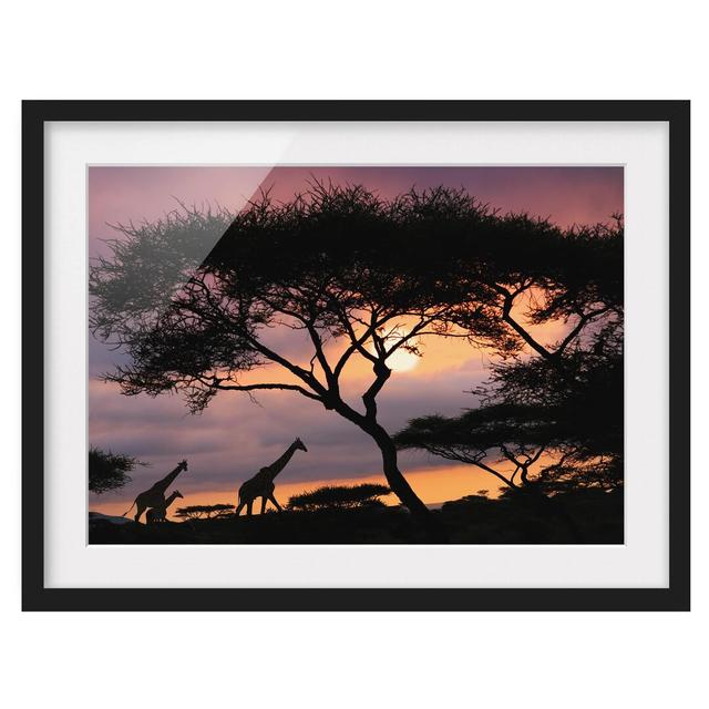 Safari in Africa - Picture Frame Photograph Print on Paper East Urban Home Frame Options: Matt black, Size: 70cm H x 100cm W on Productcaster.