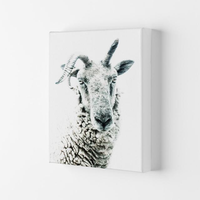 Sheep by Victoria Frost - Photograph Print Union Rustic Format: Wrapped Canvas, Size: 84cm H x 59.4cm W x 4cm D on Productcaster.