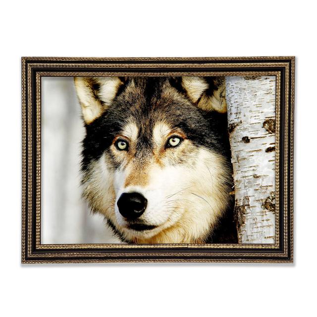 Wolf Glare - Single Picture Frame Art Prints Union Rustic Size: 84.1cm H x 118.9cm W x 3cm D on Productcaster.