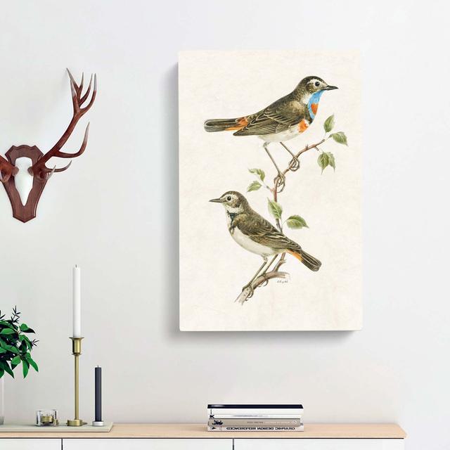 Bluethroat Bird by Von Wright - Wrapped Canvas Painting Print East Urban Home Size: 60cm H x 40cm W x 3cm D on Productcaster.