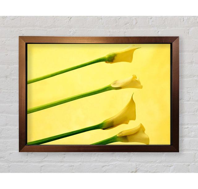 Yellow Trumpet Flowers - Single Picture Frame Art Prints Bright Star Size: 100cm H x 141.4cm W on Productcaster.