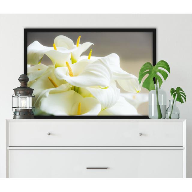 Gerahmtes Foto "Beautiful White Calla Lilies" ModernMoments Größe: 80 cm H x 60 cm B x 2.5 cm T on Productcaster.