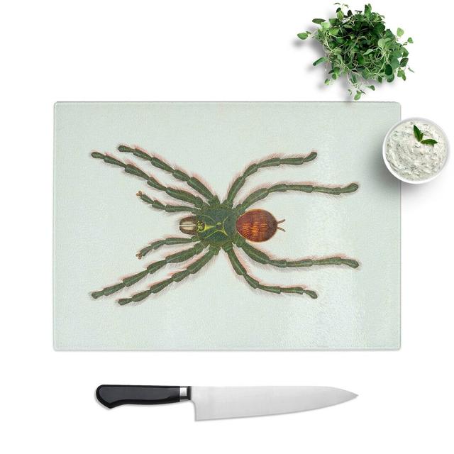 Tempered Glass Tarantula Illustration by Charles D' Orbigny Chopping Board East Urban Home Size: 39 cm W x 28.5 cm L on Productcaster.