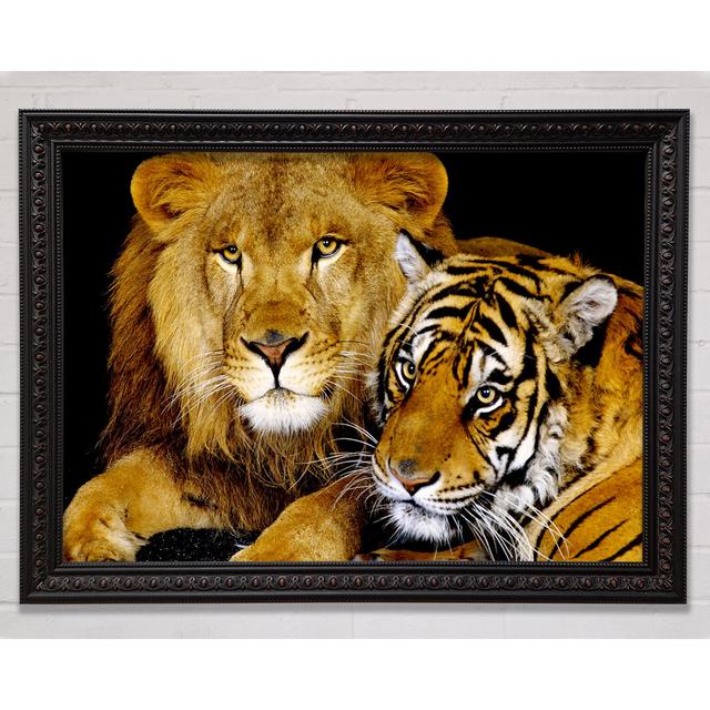 Lion Tiger Love Framed Print Bright Star Size: 42cm H x 59.7cm W on Productcaster.