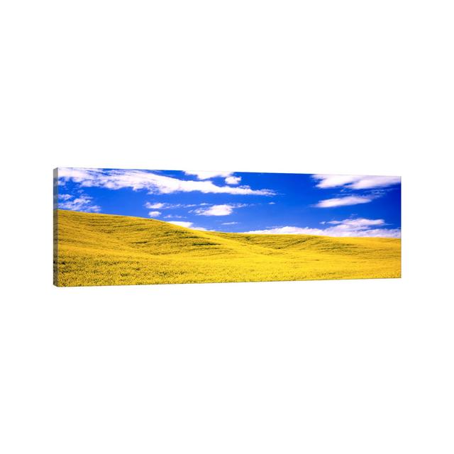 Canola Fields, Washington State, USA - Wrapped Canvas Panoramic Print Union Rustic Size: 60.96cm H x 182.88cm W x 3.81cm D on Productcaster.