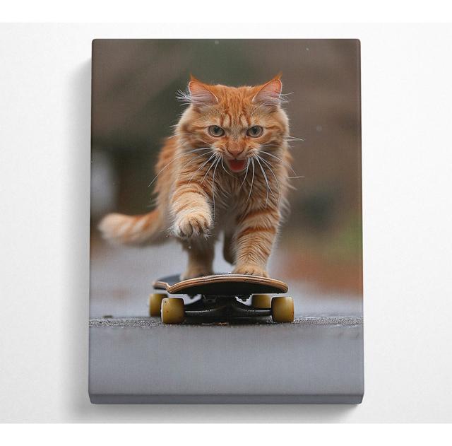 Katze Skateboarding - Ohne Rahmen Kunstdrucke auf Leinwand ModernMoments Größe: 142,2 cm H x 101,6 cm B on Productcaster.