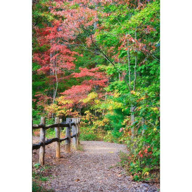 Hiking Trail by JillLang - Wrapped Canvas Print Union Rustic Size: 30cm H x 20cm W x 3.8cm D on Productcaster.