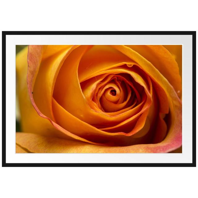 Gerahmtes Poster Anmutige gelbe geschlossene Rose East Urban Home Farbe: Orange, Größe: 70 cm H x 100 cm B x 2,5 cm T on Productcaster.