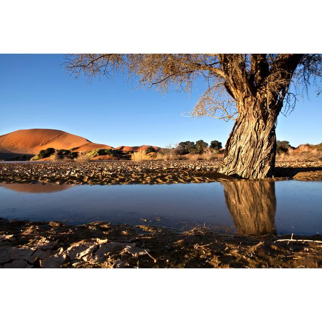 Reflection of Tree by 2630Ben - Wrapped Canvas Photograph Marlow Home Co. Size: 61cm H x 91cm W on Productcaster.