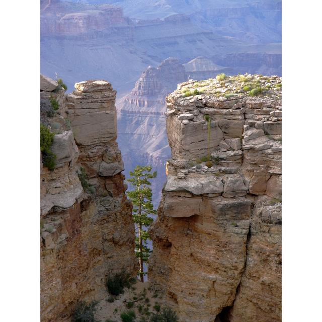 Grand Canyon National Park by NatalieHelbert - No Frame Art Prints on Canvas Alpen Home Size: 120cm H x 80cm W on Productcaster.