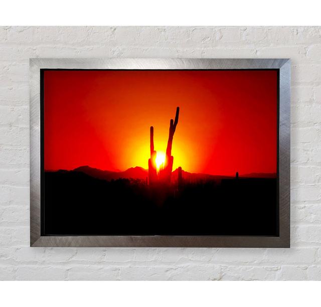 Cactus In Sunlight - Single Picture Frame Art Prints Bright Star Size: 100cm H x 141.4cm W x 3.4cm D on Productcaster.