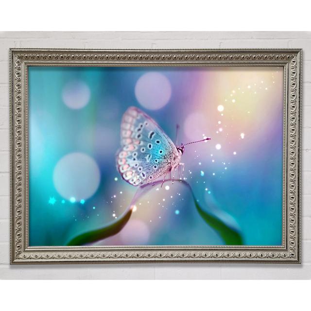 Butterfly Sparkle Framed Print August Grove Format: Silver Framed Paper, Size: 84.1cm H x 118.9cm W x 3cm D on Productcaster.