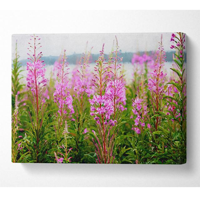 Pink Flowers In Front Of The Stream Canvas Watercolour ClassicLiving Size: 66cm H x 106.6cm W x 10cm D on Productcaster.