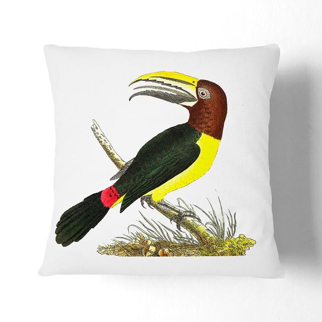 Toucan by George Shaw Cushion with Filling East Urban Home Size: 55cm H x 55cm W x 20cm D on Productcaster.