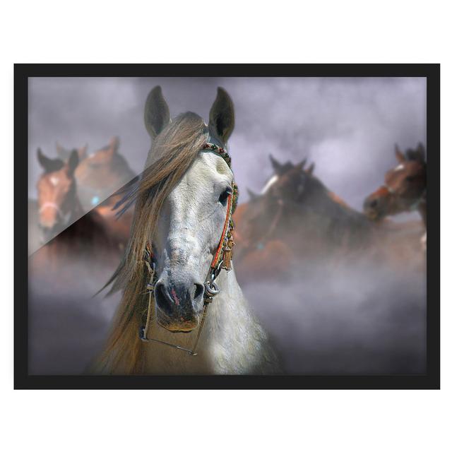 Horses in the Dust - Picture Frame Graphic Art Union Rustic Size: 30cm H x 40cm W x 2cm D, Frame Option: Black Framed on Productcaster.