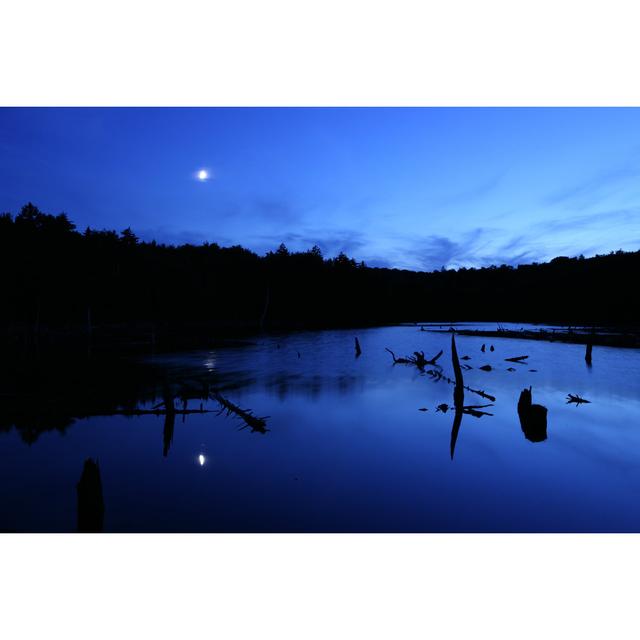 Moonlight On Beaver Pond by CribbVisuals - No Frame Art Prints on Canvas 17 Stories Size: 81cm H x 122cm W on Productcaster.