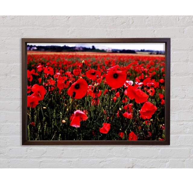 Poppy Field Hills - Single Picture Frame Art Prints on Canvas Bright Star Size: 84.1cm H x 118.9cm W x 3.3cm D on Productcaster.