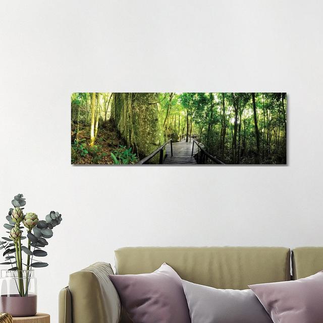 Tropical Forest VI by Glauco Meneghelli - Wrapped Canvas Panoramic Print Alpen Home Size: 40.64cm H x 121.92cm W x 1.905cm D on Productcaster.