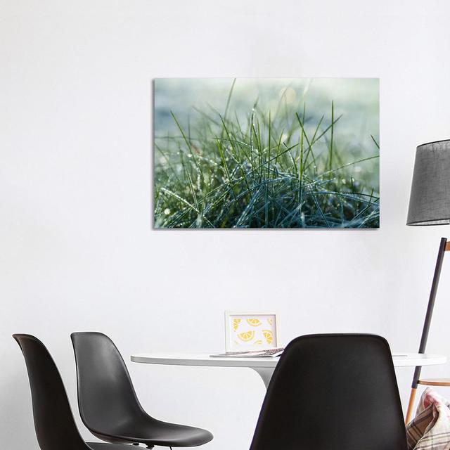 Frost III by Andreas Stridsberg - Gallery-Wrapped Canvas Giclée on Canvas Ebern Designs Format: Canvas, Size: 66.04cm H x 101.6cm W x 3.81cm D on Productcaster.