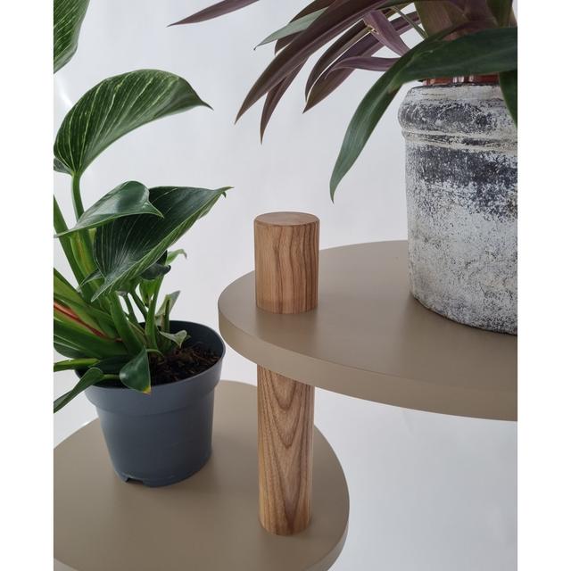 Magla Oval Multi-Tiered Solid Wood Plant Stand Ivy Bronx Colour: Fleeting Mint on Productcaster.