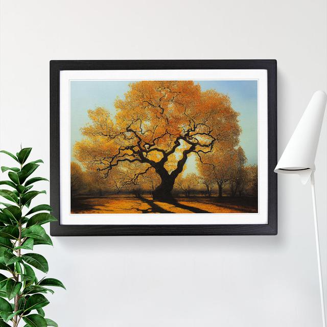 Exhilarating Oak Tree - Picture Frame Painting Marlow Home Co. Frame Colour: Black, Size: 25cm H x 34cm W x 2cm D on Productcaster.