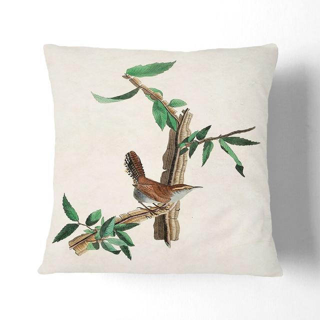 Bewicks Wren by John James Audubon Cushion with Filling East Urban Home Size: 40 x 40 cm, Backing Colour: Stone on Productcaster.