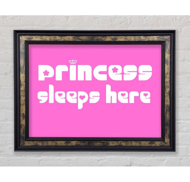 Princess Sleeps 2 Beige - Single Picture Frame Art Prints Bright Star Colour: Vivid Pink, Size: 84.1cm H x 118.9cm W on Productcaster.