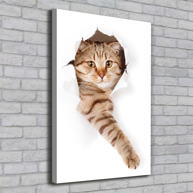 Cat - Wrapped Canvas Art Prints Ebern Designs on Productcaster.