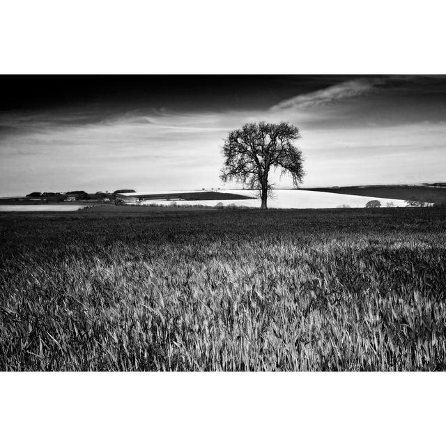 Field Texture by Martin Henson - Wrapped Canvas Photograph Union Rustic Size: 81cm H x 122cm W on Productcaster.