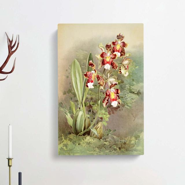 Magnolia Flowers Illustration Tab.49 by Frederick Sander - Wrapped Canvas Painting Print East Urban Home Size: 60cm H x 40cm W x 3cm D on Productcaster.