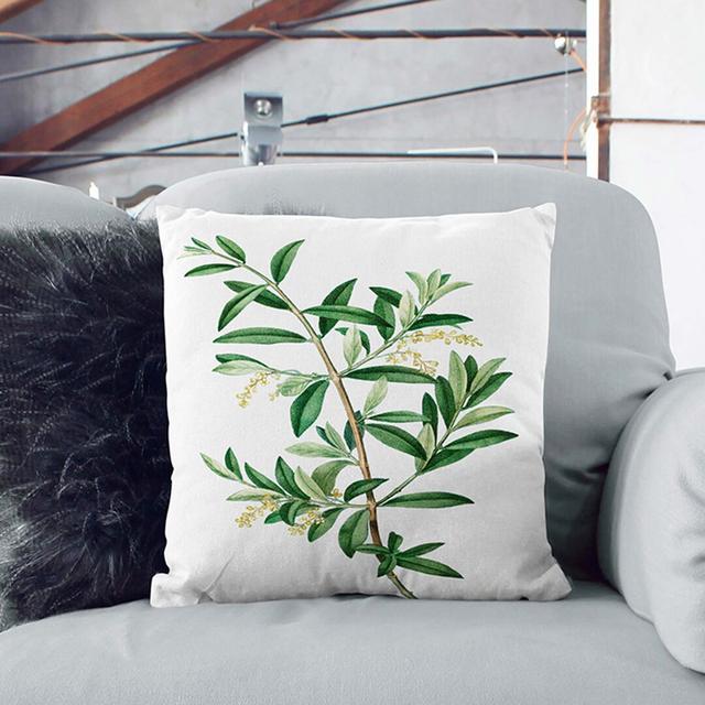 Olive Tree by Pierre-Joseph Redoute Cushion with Filling East Urban Home Size: 55cm H x 55cm W x 20cm D on Productcaster.